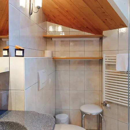 Dominic A Lejlighed Saas Fee