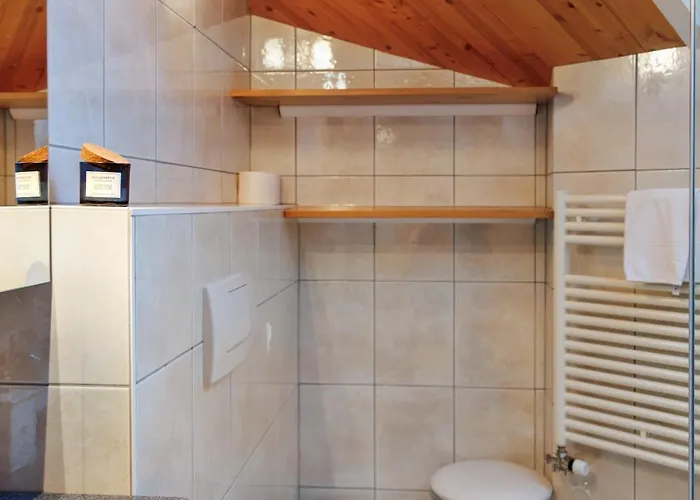 Dominic A Apartamento Saas Fee